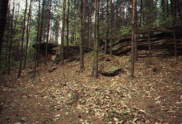 Cygaska Kapa - wychodnia biaego piaskowca triasowego w uroczysku lenym 